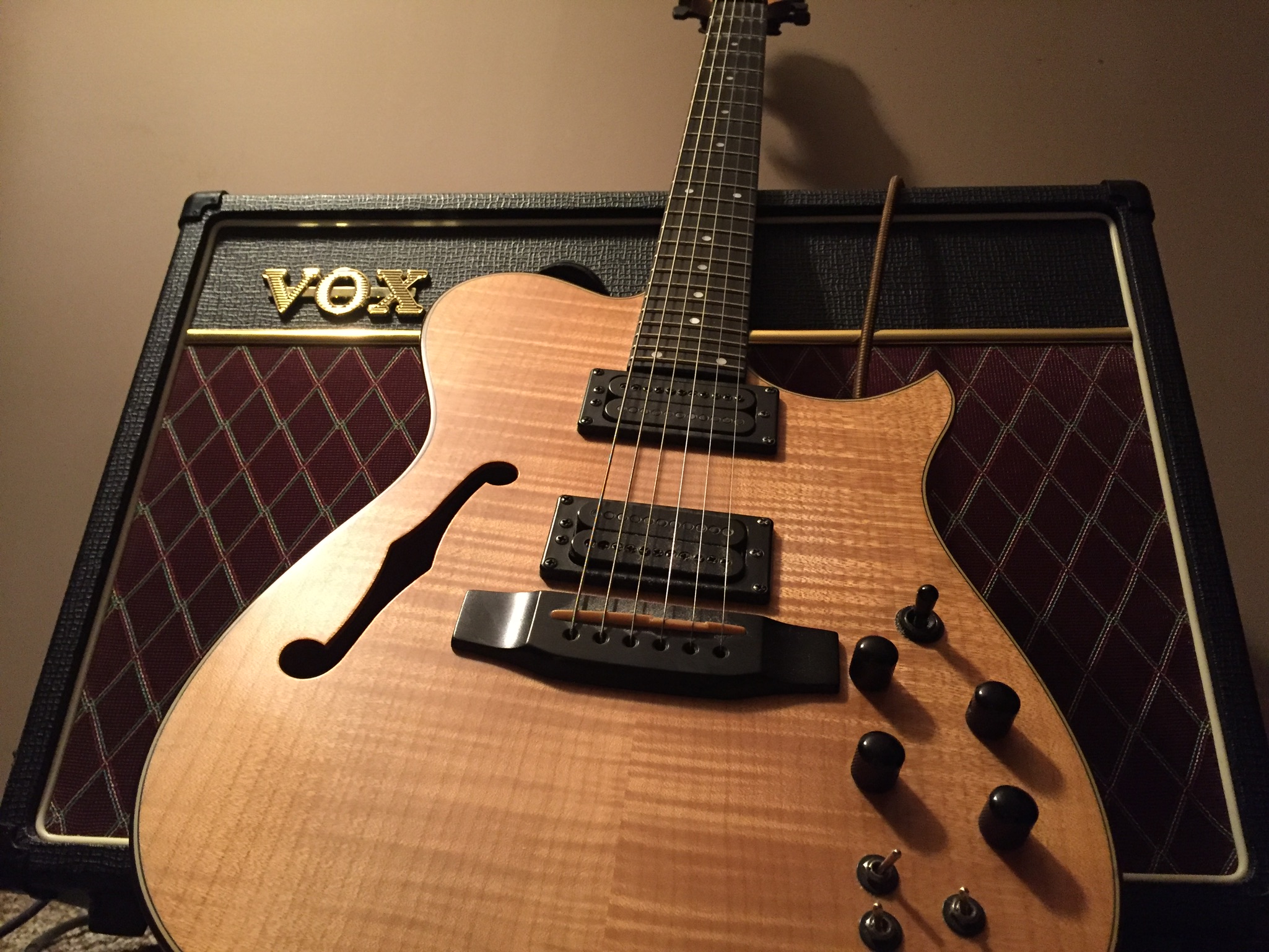 Does Wood Affect The Electric Guitar Tone INS.