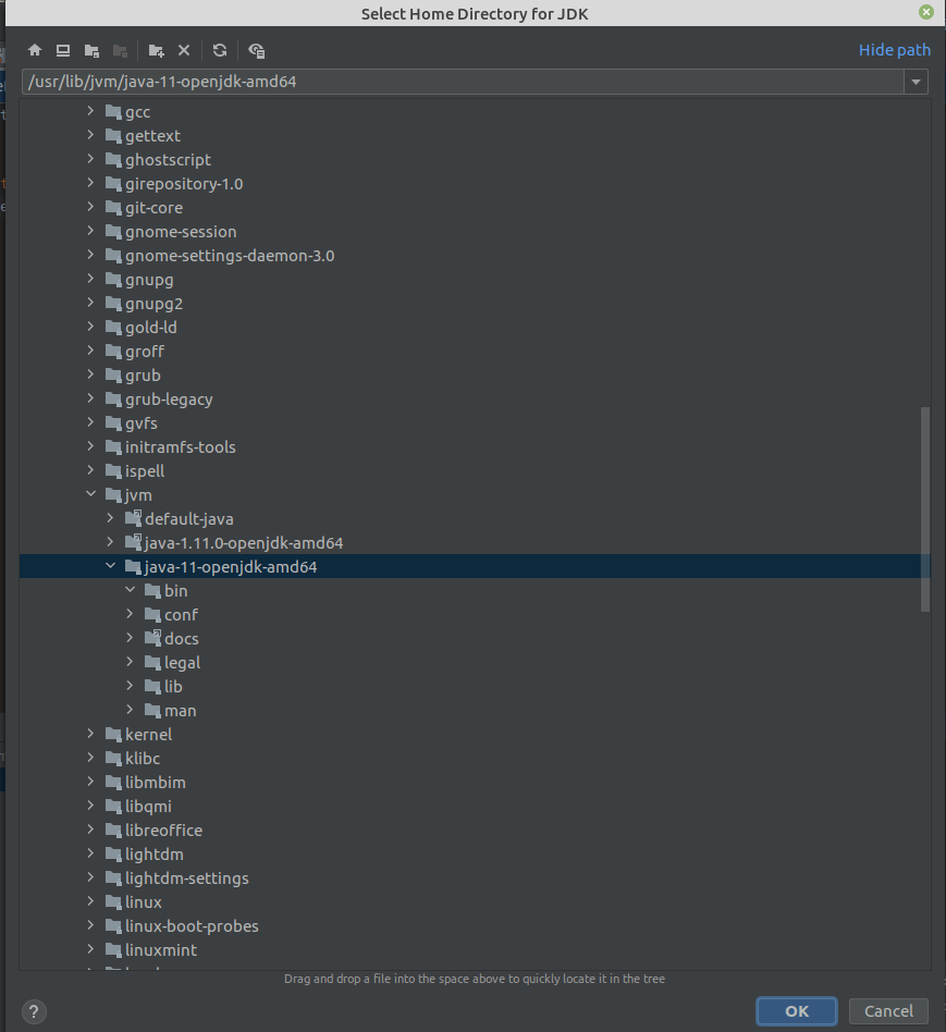 java Can't set path to jdk 11 in IntelIjIDEA Stack Overflow