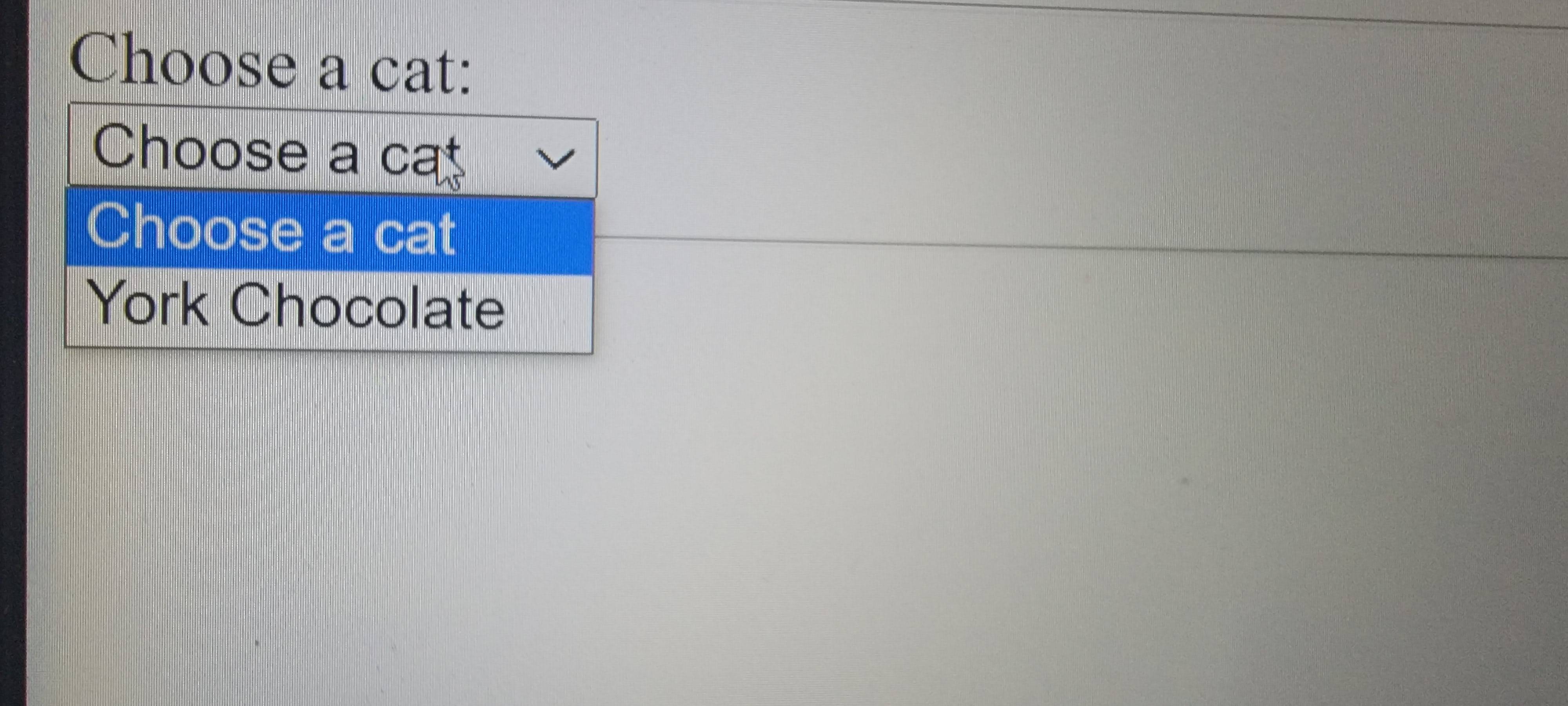 javascript How to add data from array/Object to the HTML drop down