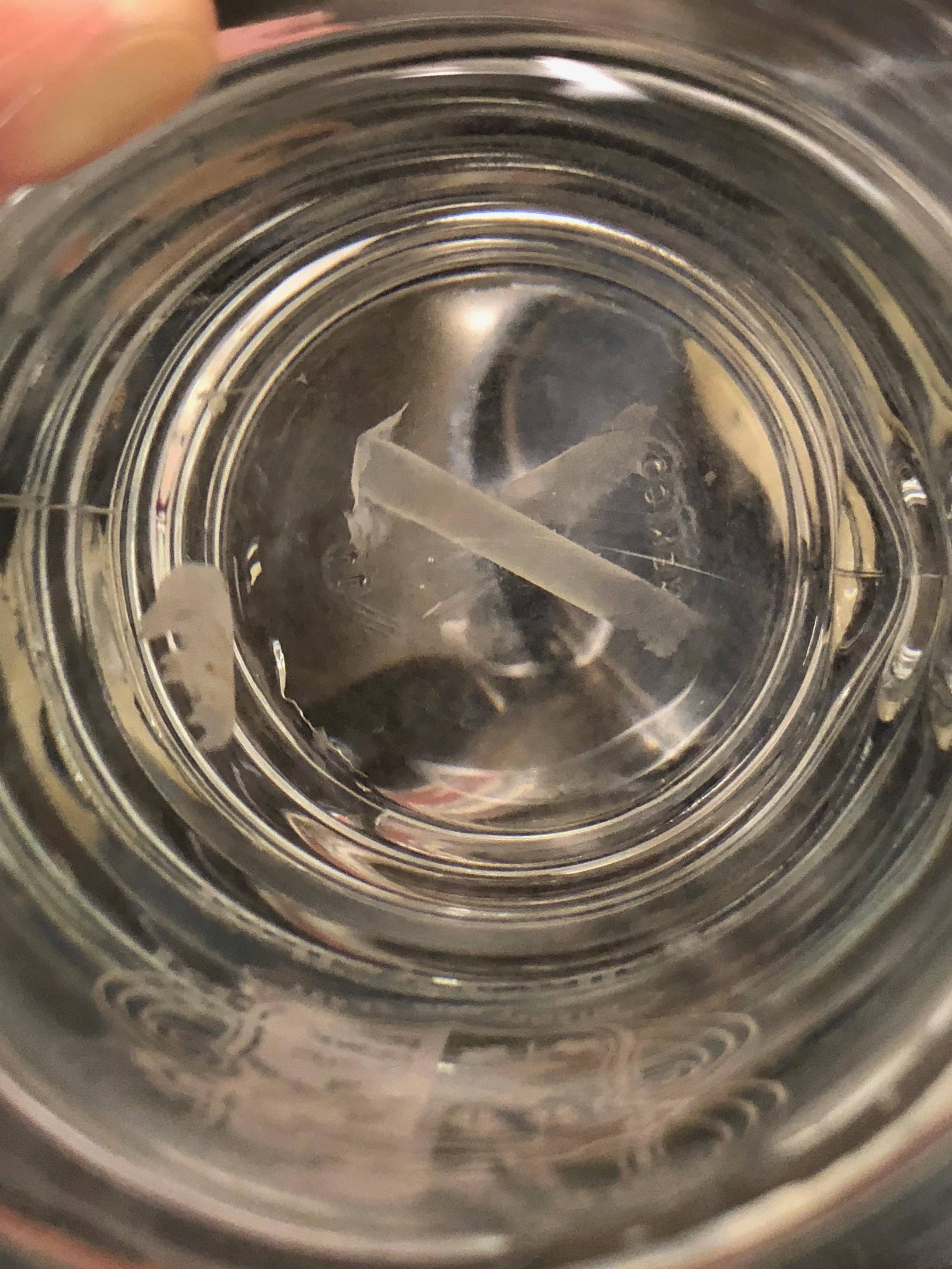 species identification I found this in my refrigerator water filter