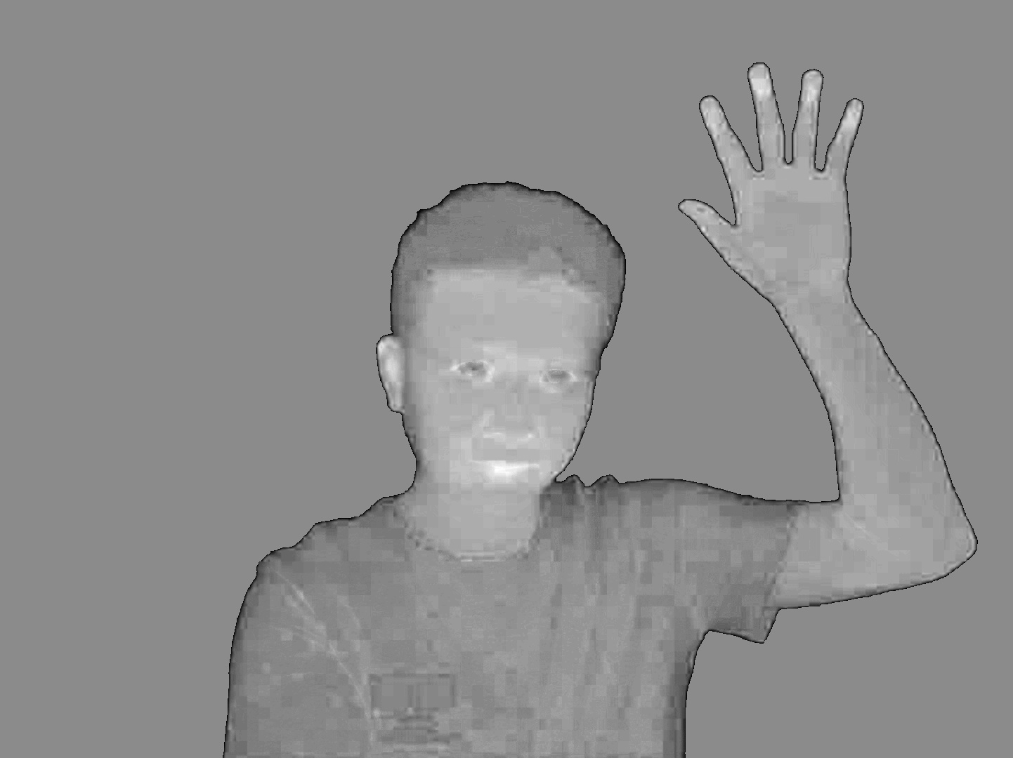 Remove green background screen from image using OpenCV/Python Stack