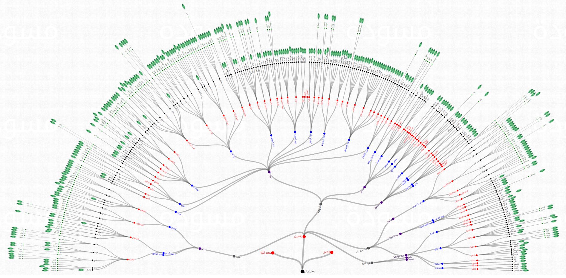 How Can I highlight the parents names and the connection lines when I