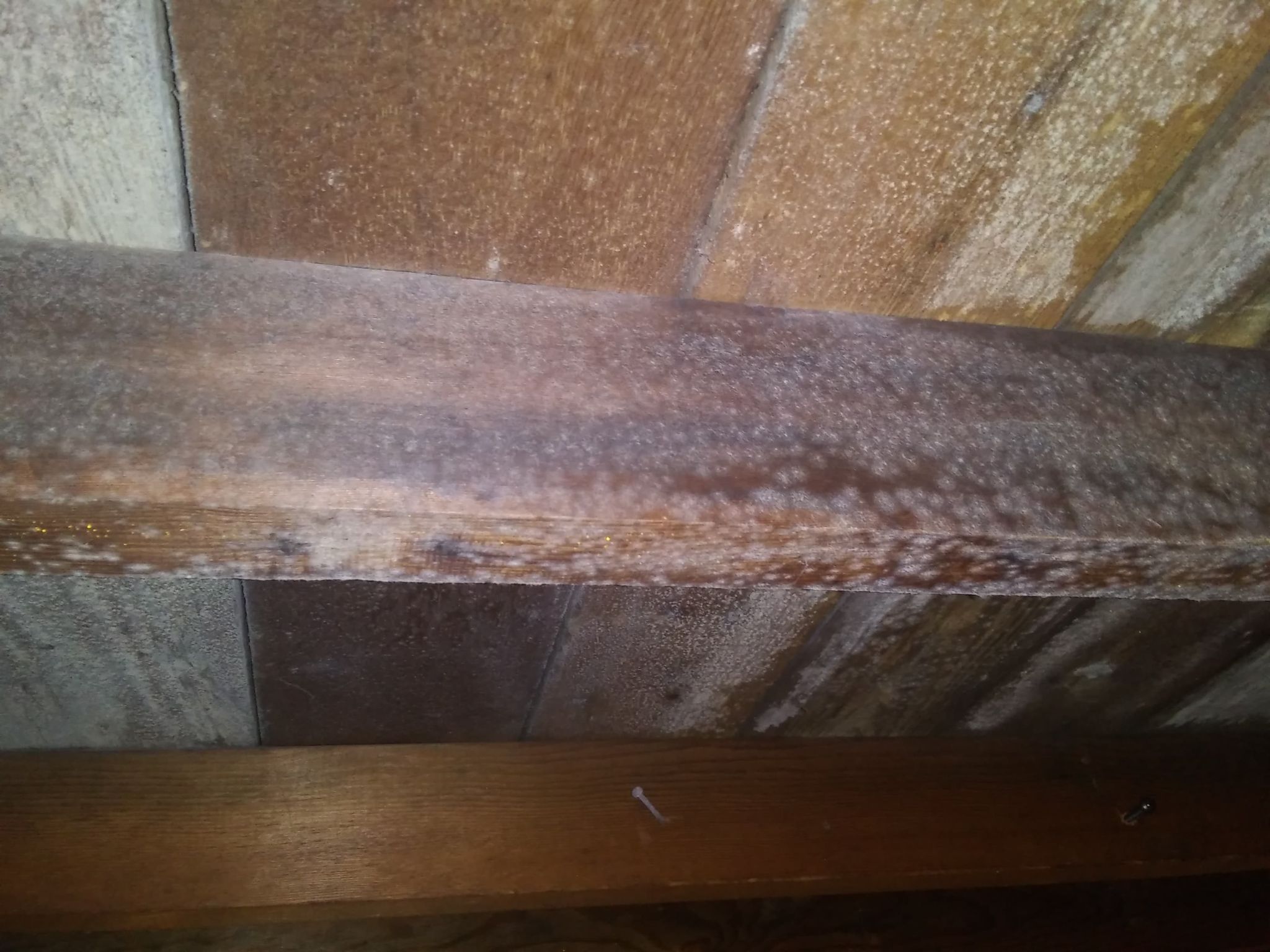 ceiling White Spots on Wood in Attic Home Improvement Stack Exchange