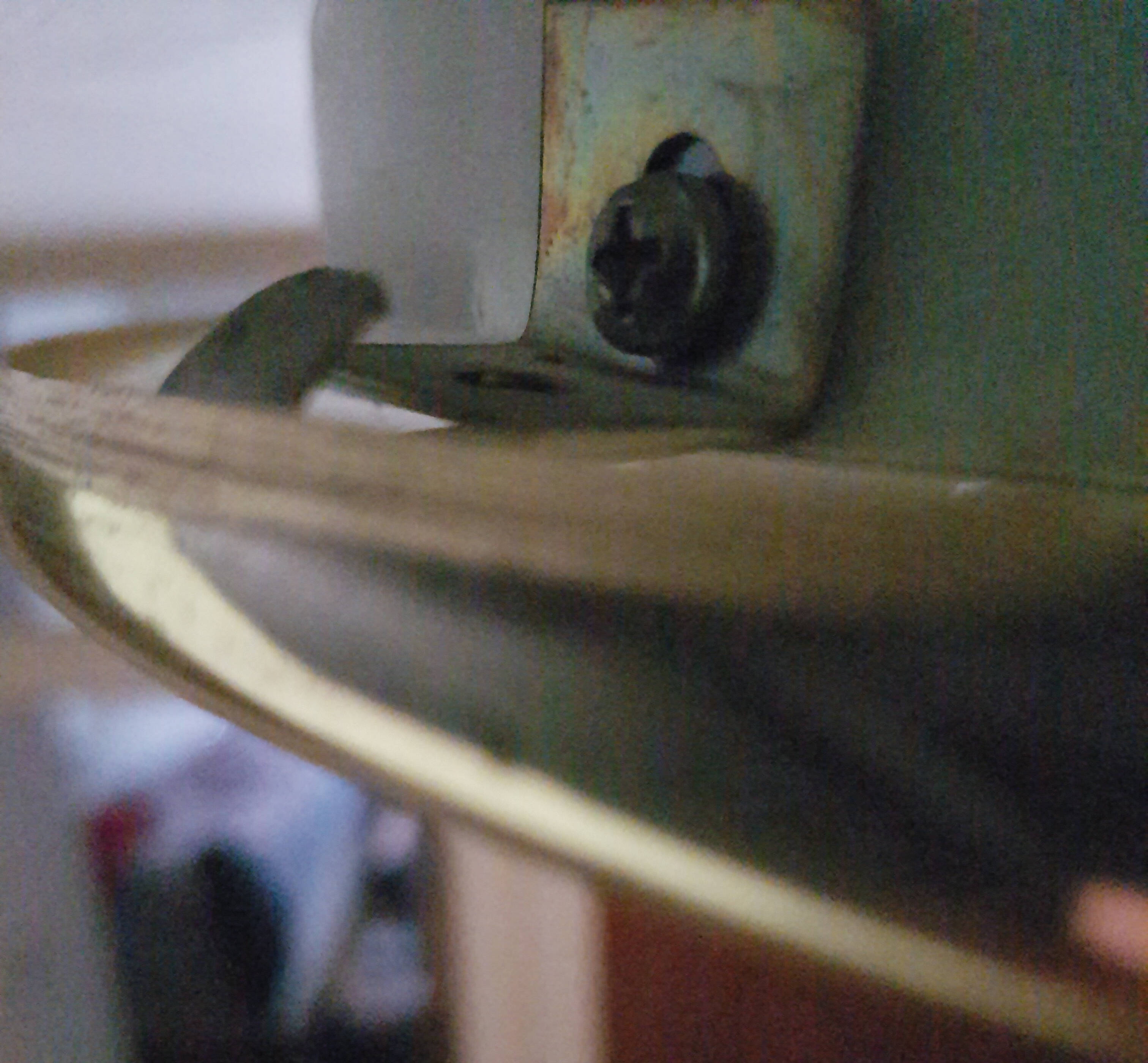 lighting How do I open this light fixture that has 3 screws / hooks