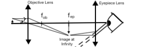 optics - How to draw ray diagrams for a compound microscope - Physics
