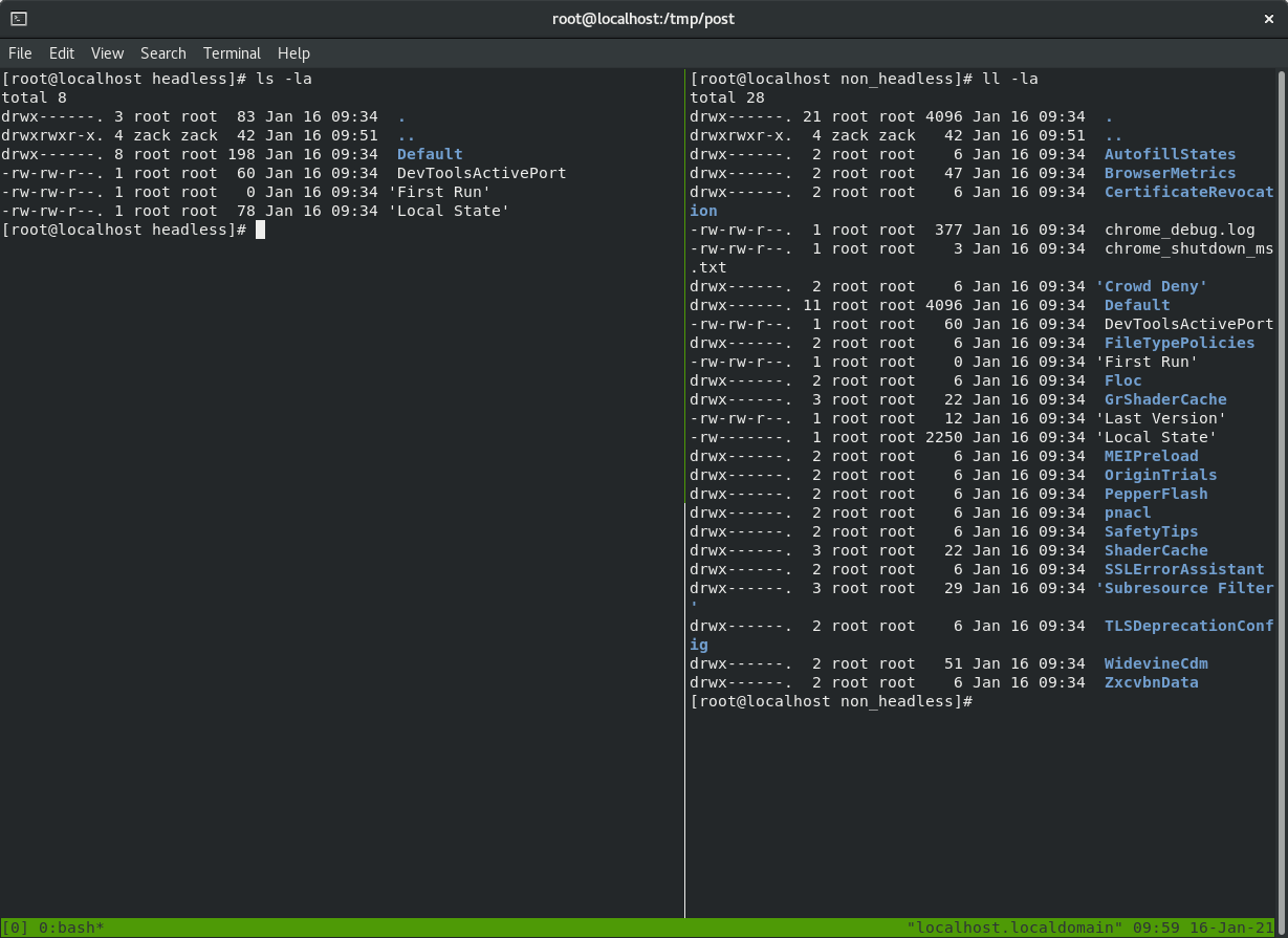 python Selenium + Headless Chrome Cookies not saving Stack Overflow