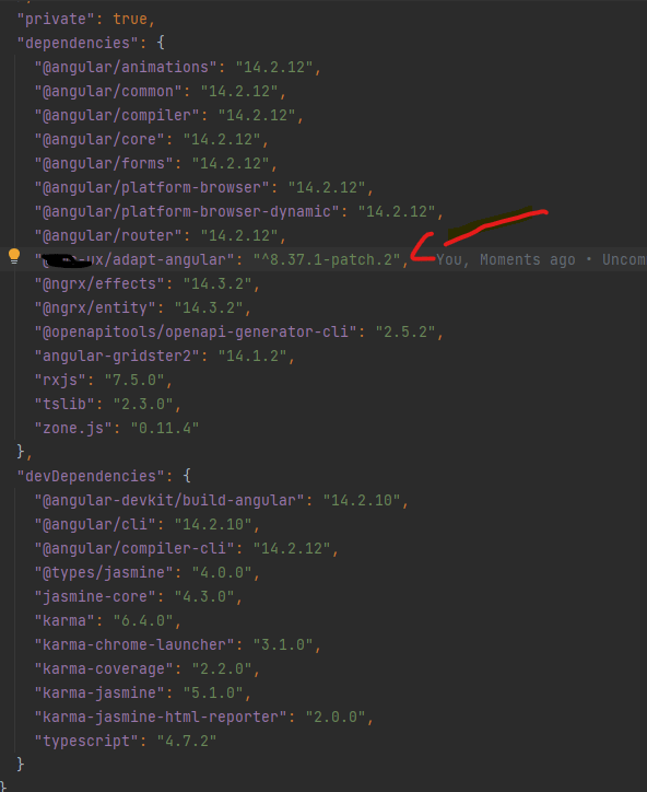 typescript angular add package to package.json file make error in