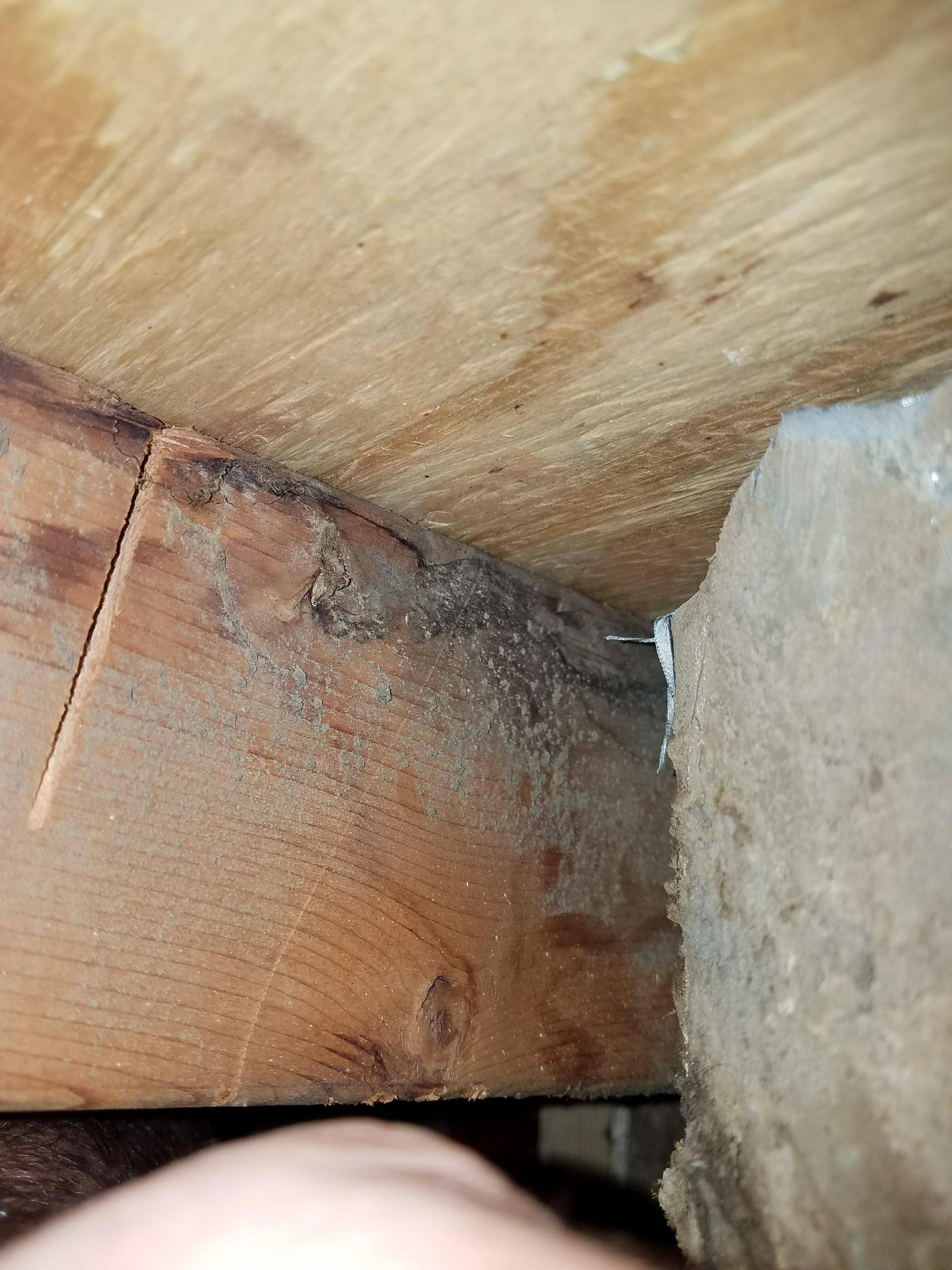 air conditioning Is this wood the source of the odor? Home