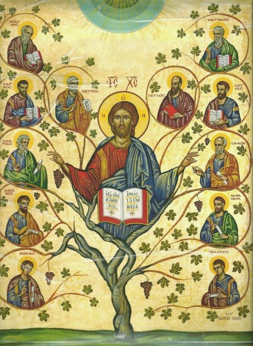 catholicism What is the Catholic understanding of the first sin