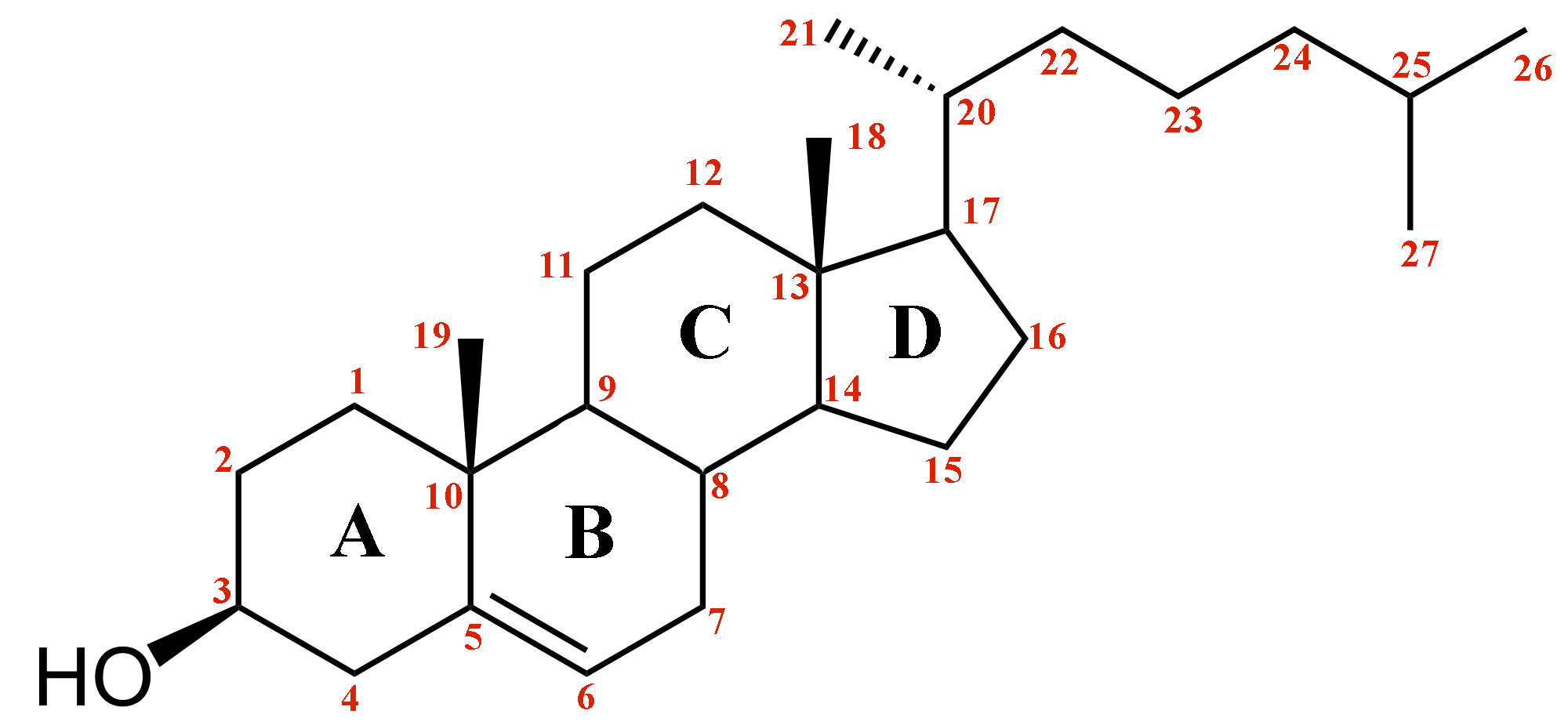 organic chemistry Numbering cholesterol structure Chemistry Stack