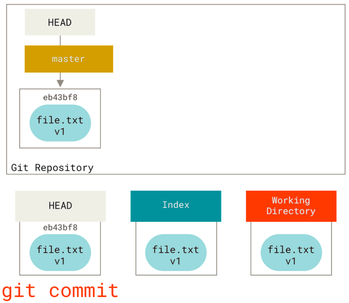 version control What's the difference between HEAD, working tree and