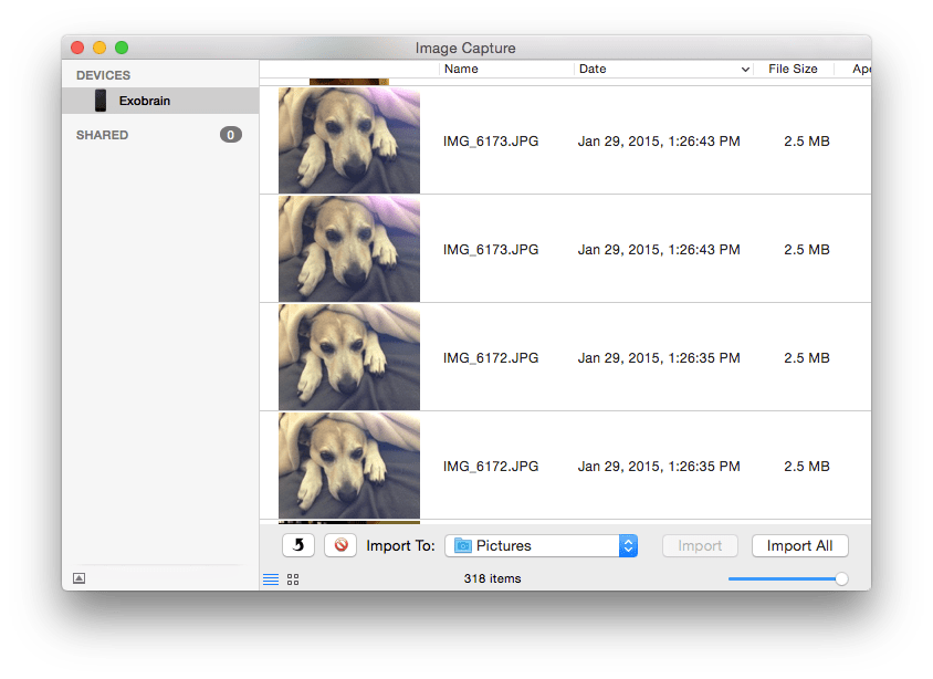 Why is Image Capture showing two copies of every photo in my iPhone