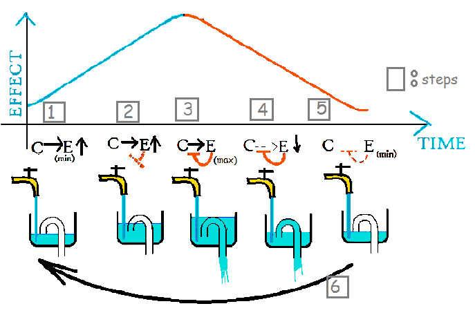 molecular biology Negative feedback loop and oscillations Biology