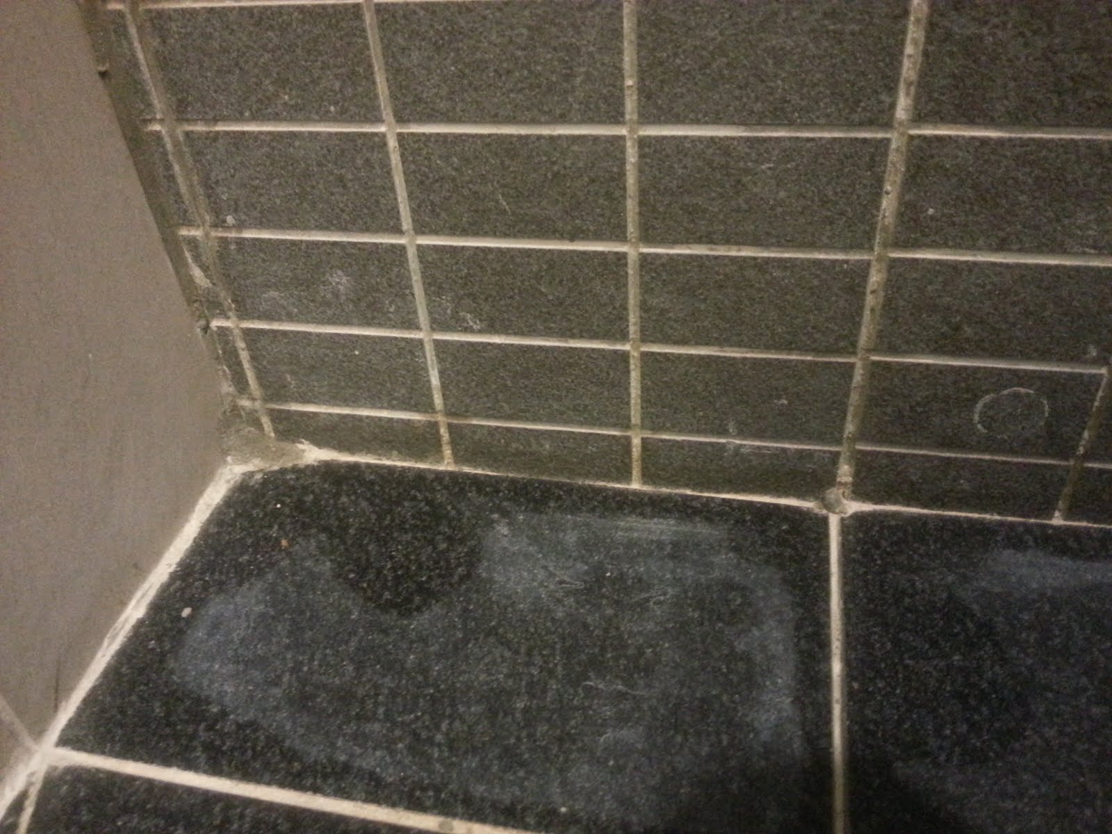 repair Should I redo my bathroom shower or try to waterproof it