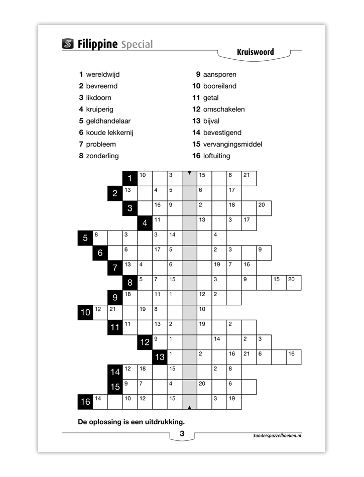 meaning What is the name of this puzzle commonly found in puzzle