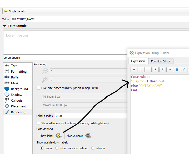 labeling QGIS Data defined labels within a single layer prioritize