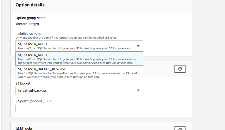 amazon s3 How to Backup/Restore SQL Server RDS DB to S3 bucket in
