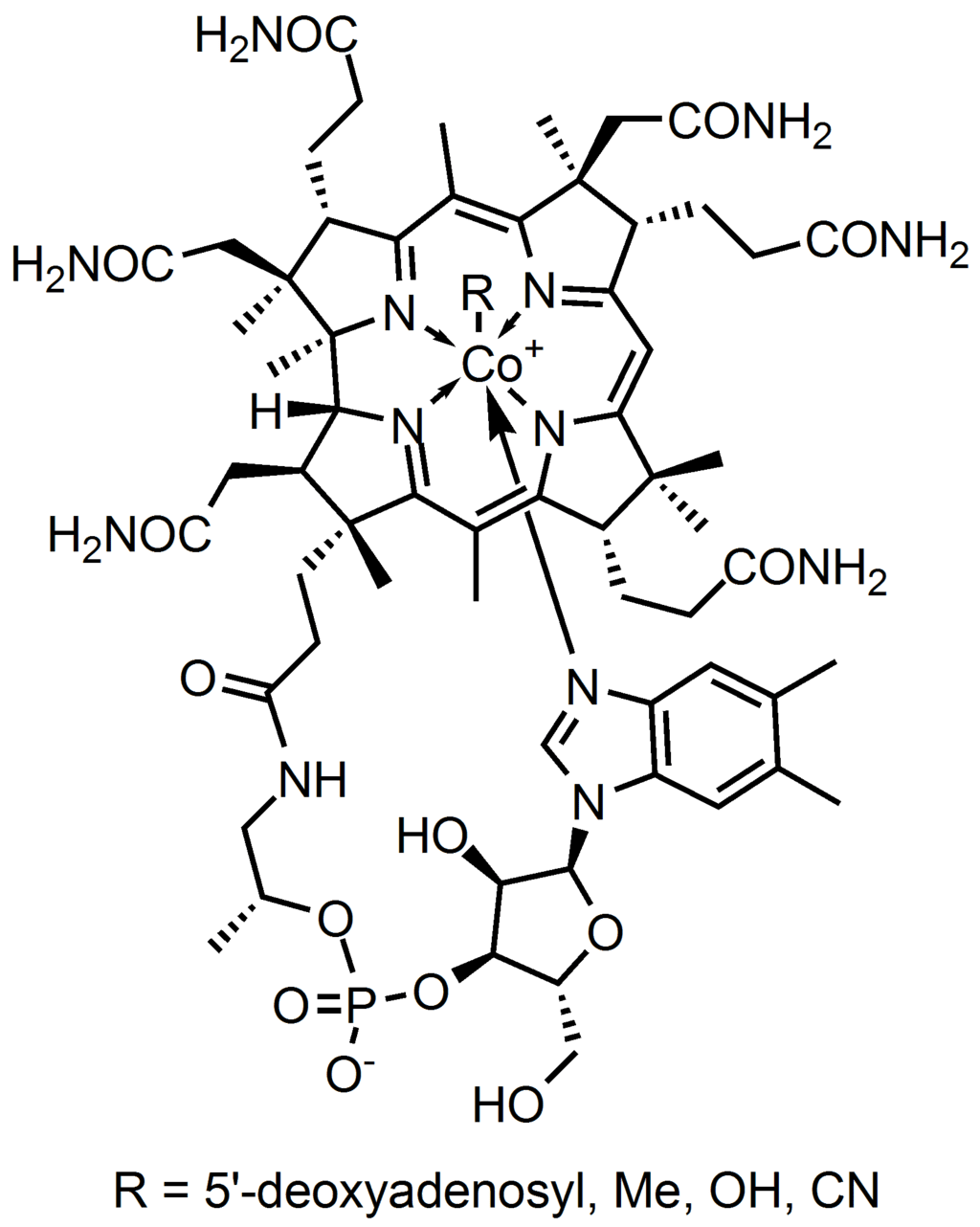 everyday chemistry Why is the Vitamin B complex, a