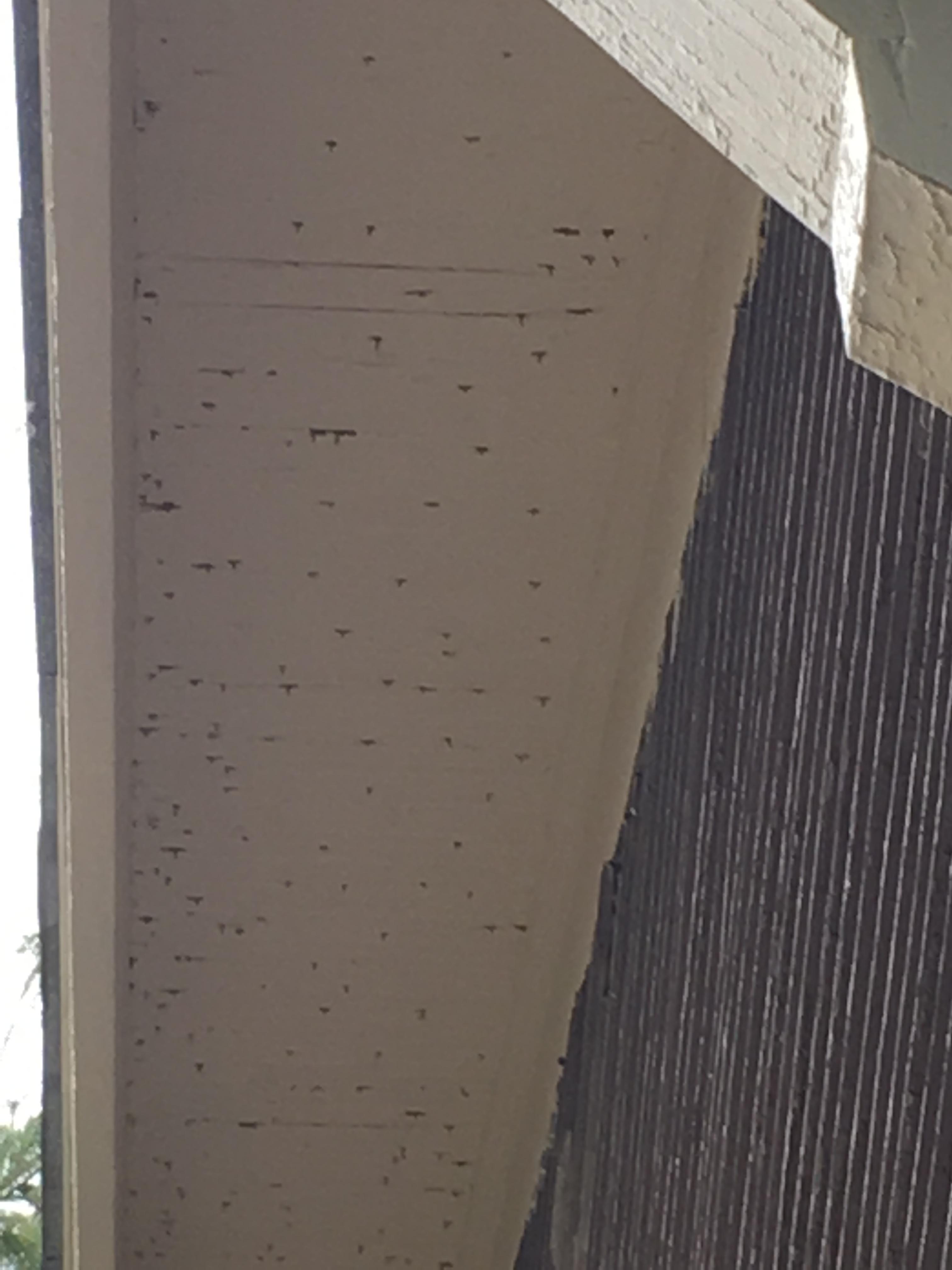 Roofing nails through 95 year old tongue/groove soffits Home
