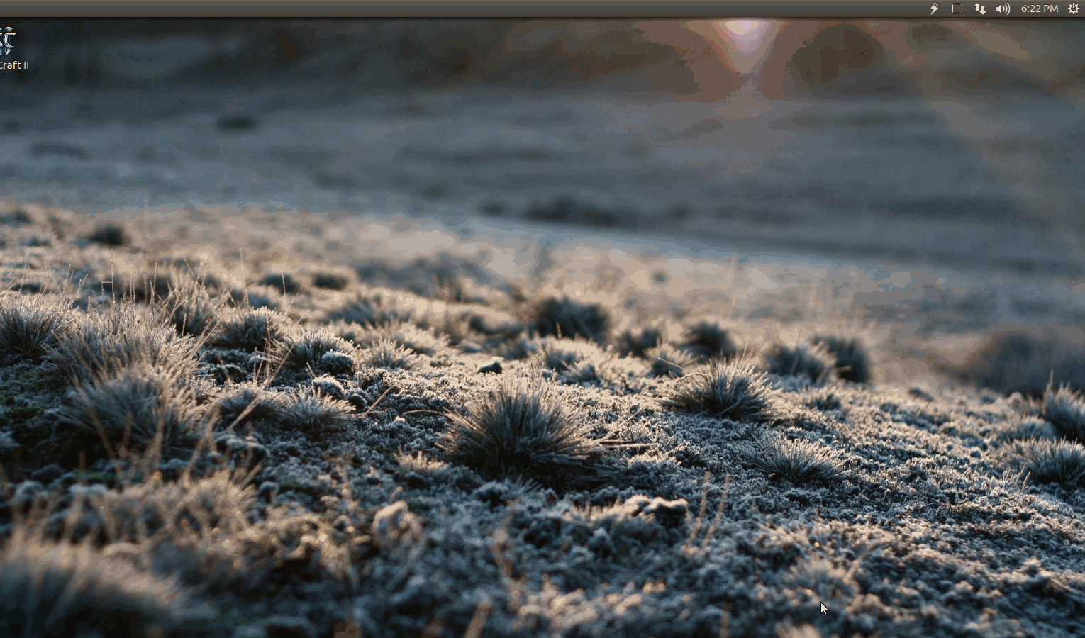 Are animated GIFs of screencasts at Ask Ubuntu