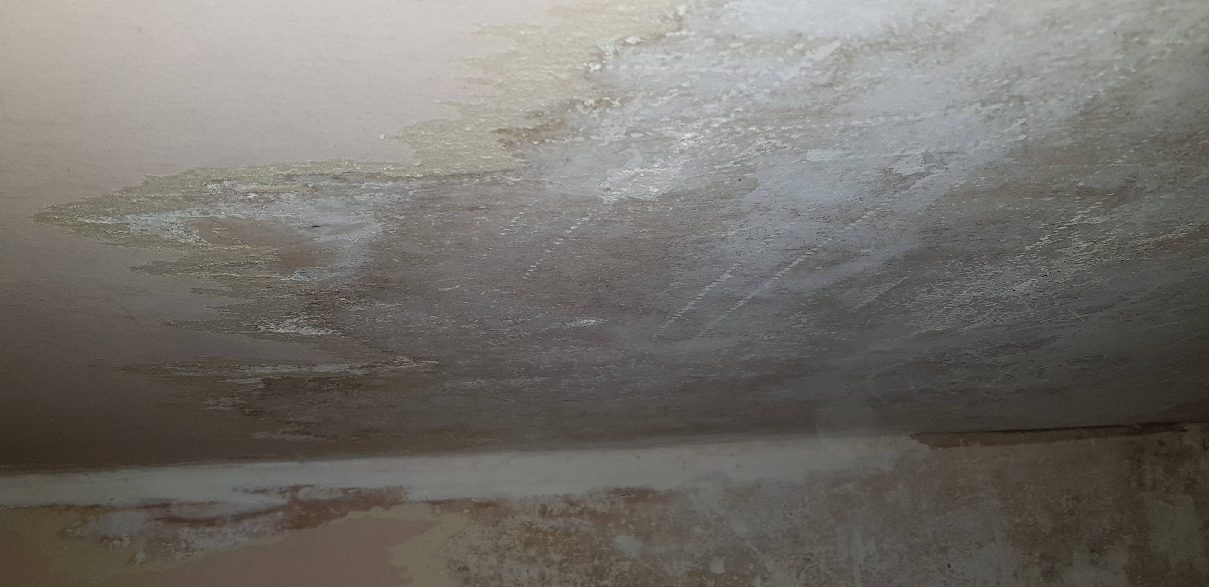 Identifying plaster type and how to best remove wallpaper and prepare