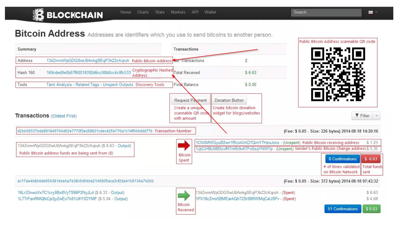 blockchain Difference between Public Bitcoin Address and Hash 160