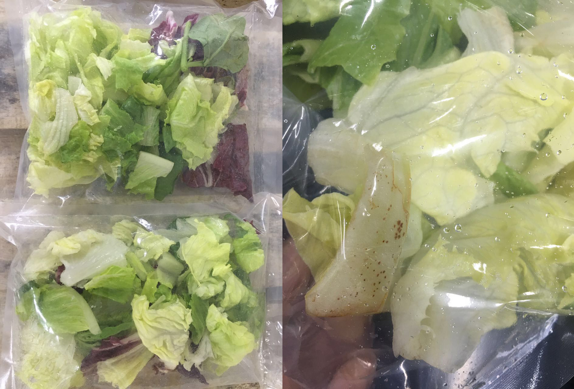 fresh Why do spots appear on iceburg lettuce during cold storage？（04