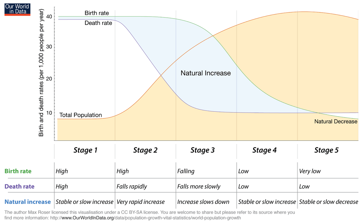 ecology Do death rate and birth rate equal at replacement fertility rate? Biology