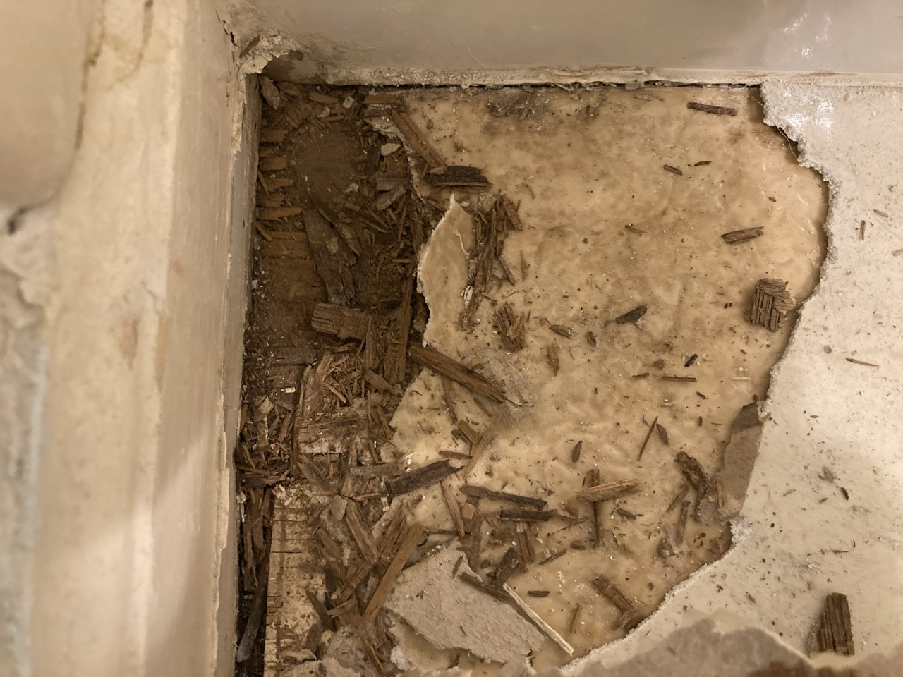 subfloor Should I repair this very small area of minor water damage