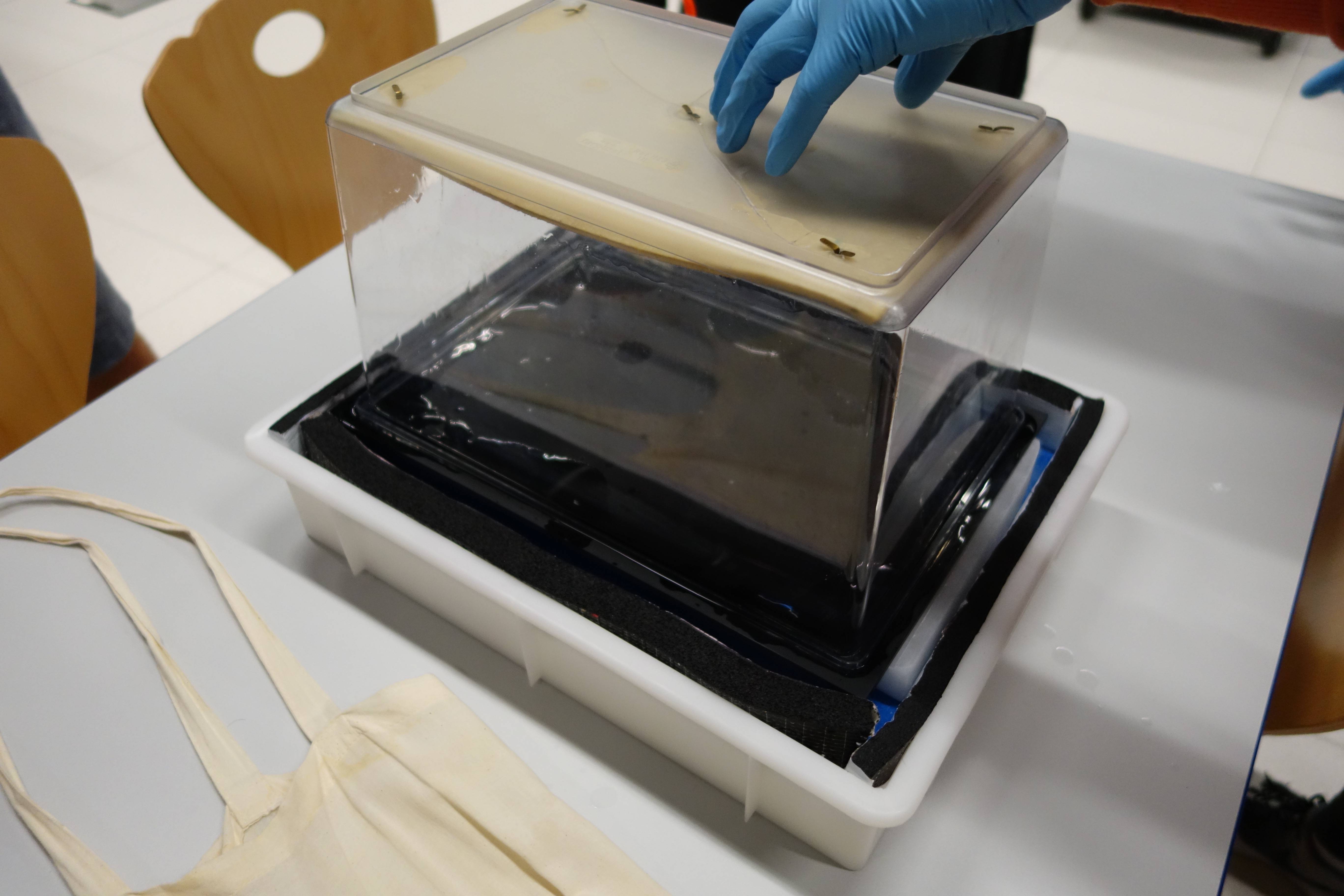 particle physics What is wrong with my setup of cloud chamber