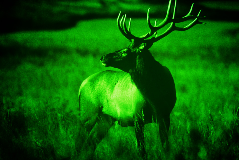 optics Why is night vision lacking color? Physics Stack Exchange