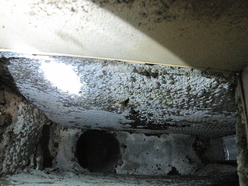hvac Is mold growing in my ductwork? Home Improvement Stack Exchange