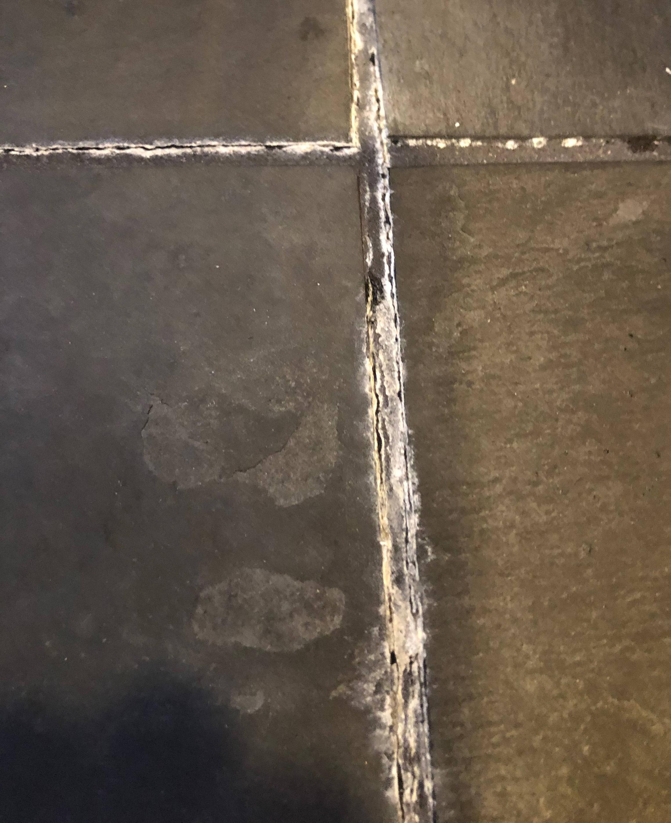 Why Are There Pink Stains In My Shower at Stanley Lebel blog