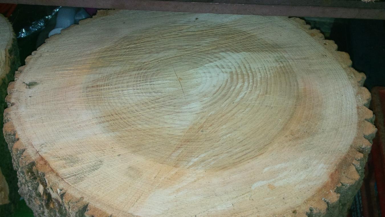 green wood When it comes to checking in logs what should I expect