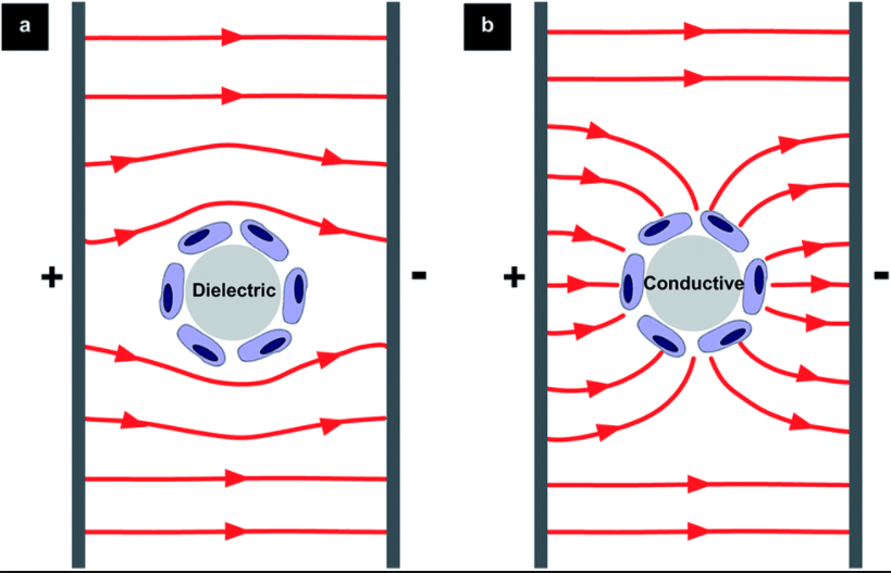 electrostatics What happens to any insulator when it is placed in any