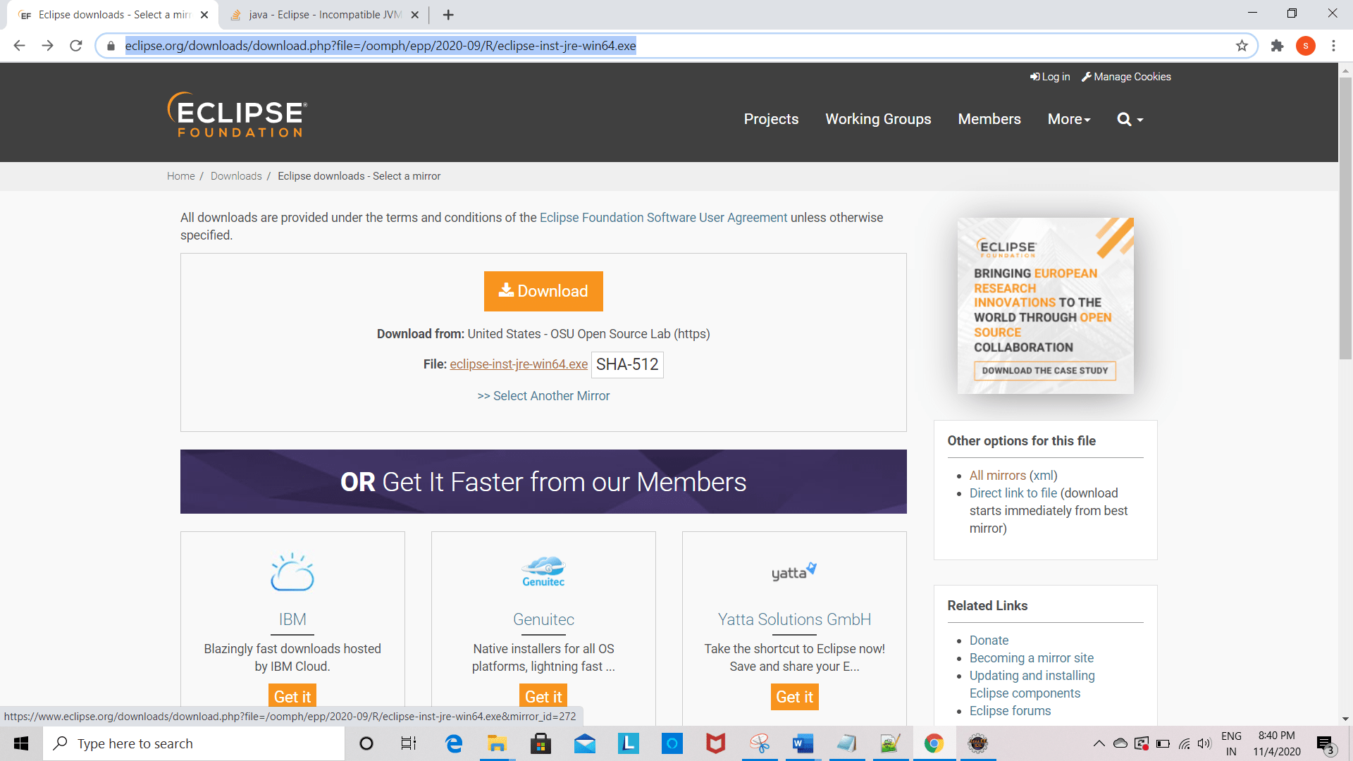 java Eclipse JVM. Version 1.8.0_261 of