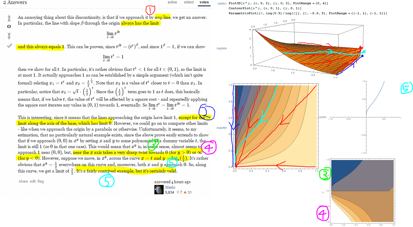 calculus 0 to the power of 0, what does the essential discontinuity