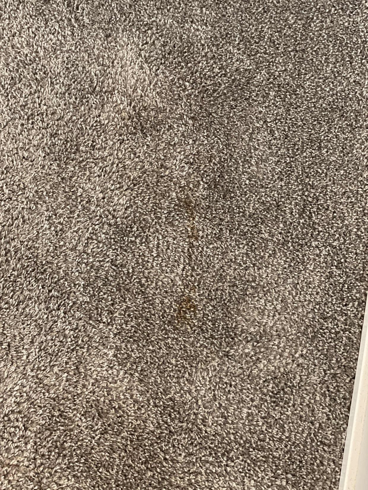 Has my office chair done enough wear to the carpet to damage it beyond