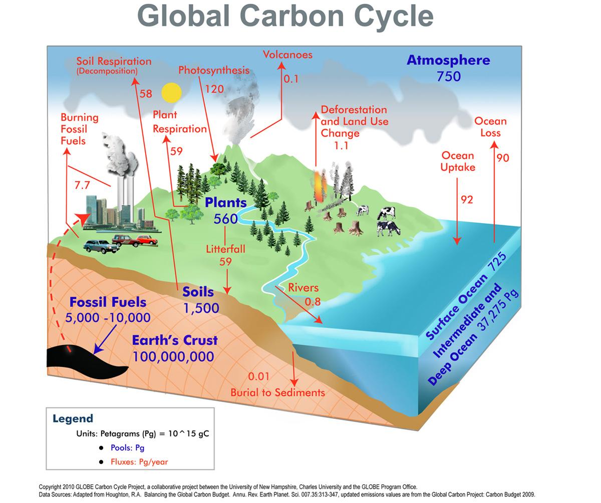geology How did CO₂ originate on Earth before there was life? Earth