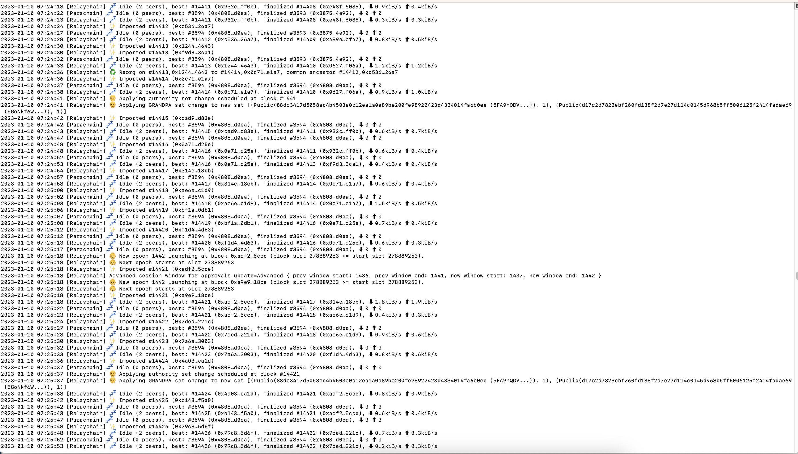 On Server parachain sudden stopped producing block Substrate and