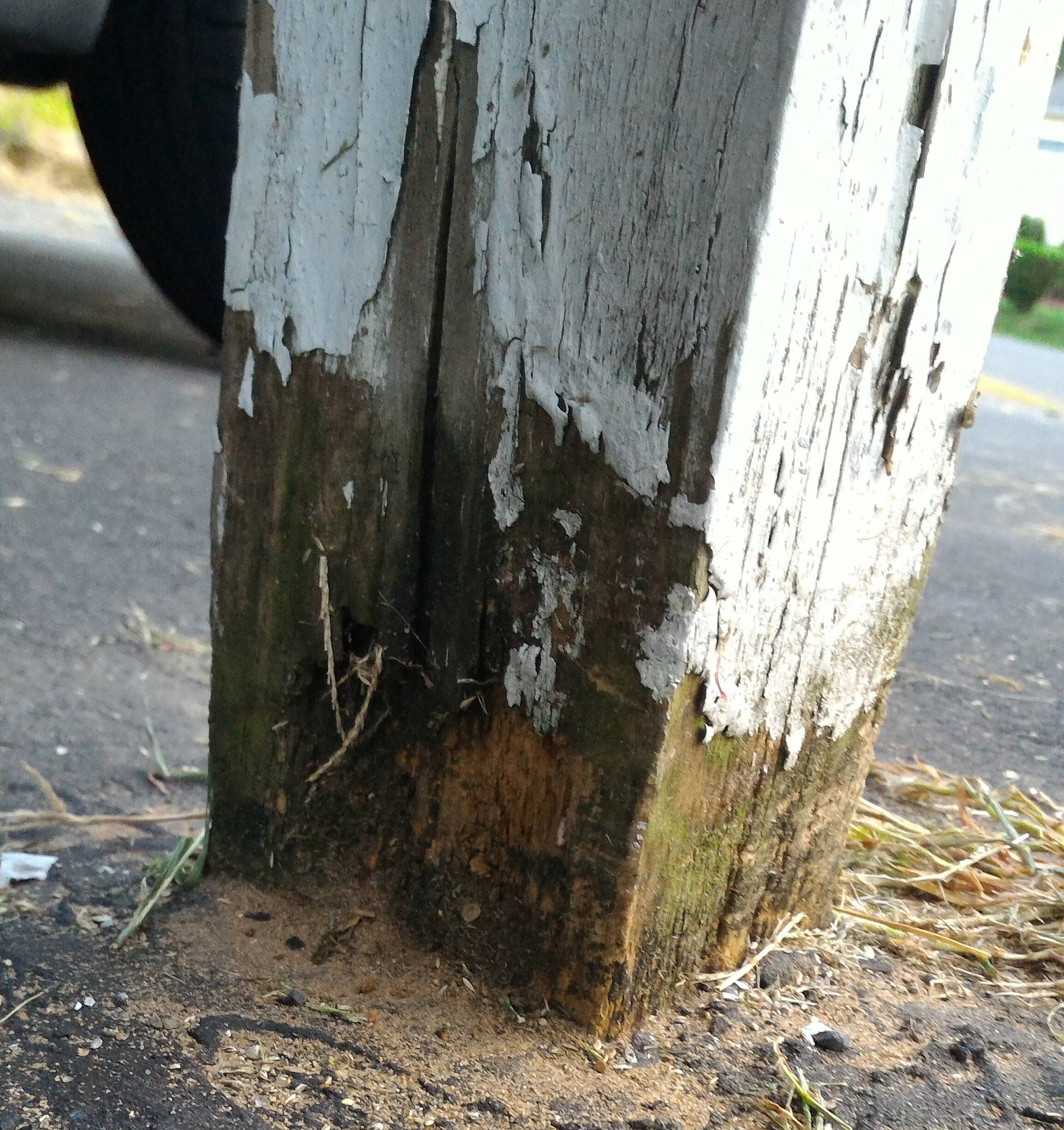How is this plan for repairing load bearing rotting posts with epoxy