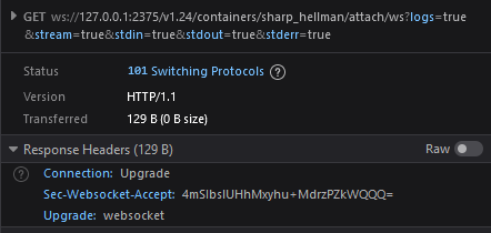 Docker Engine: Failing to attach via Websocket - Stack Overflow