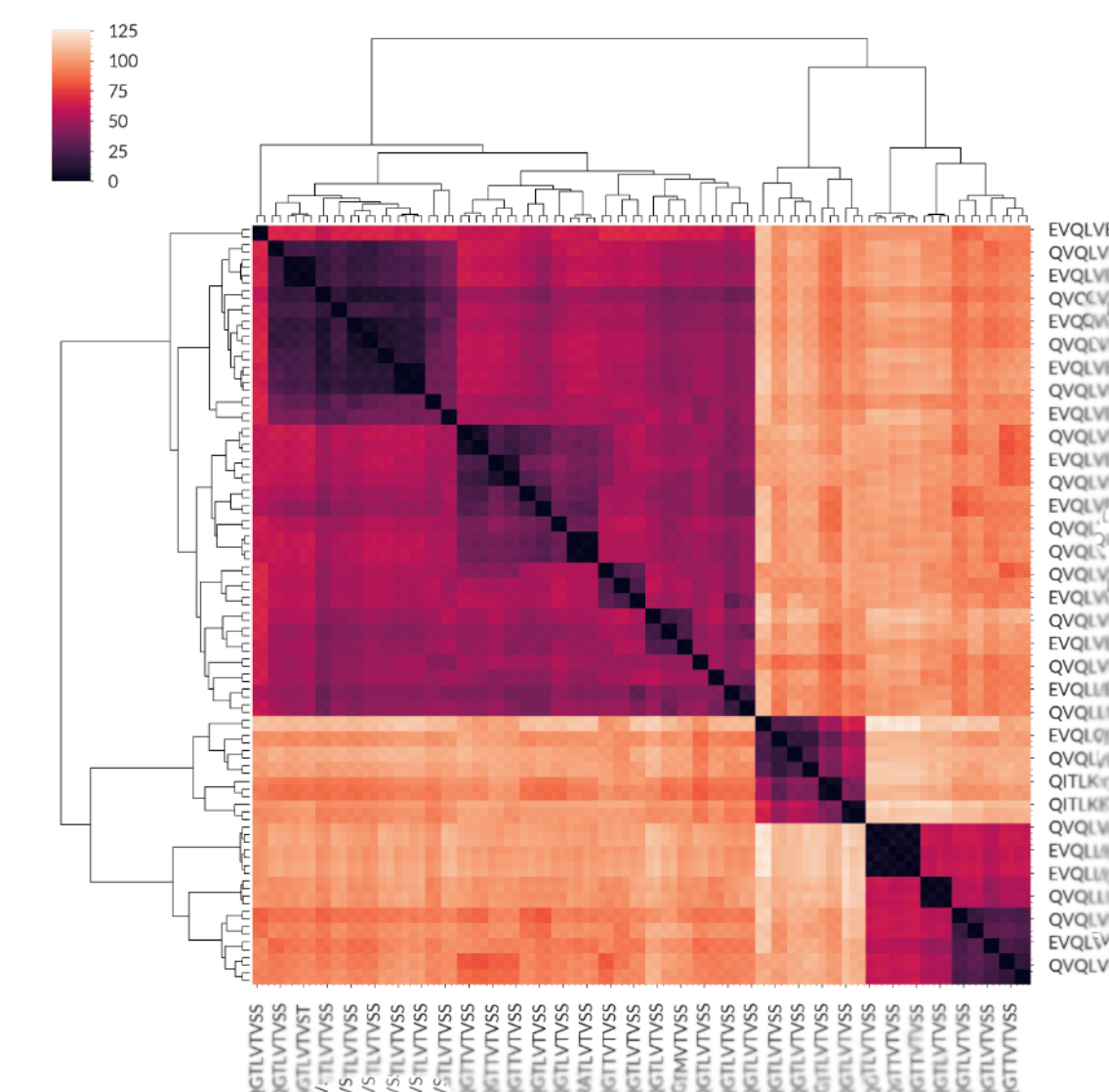 Algorithm to Cluster Similar Strings in Python? Stack Overflow
