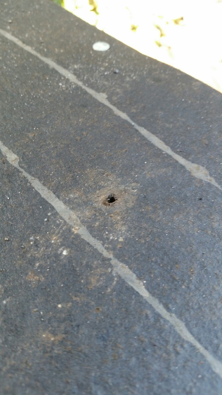 waterproofing Should I fill in 1520 nail holes in my roof