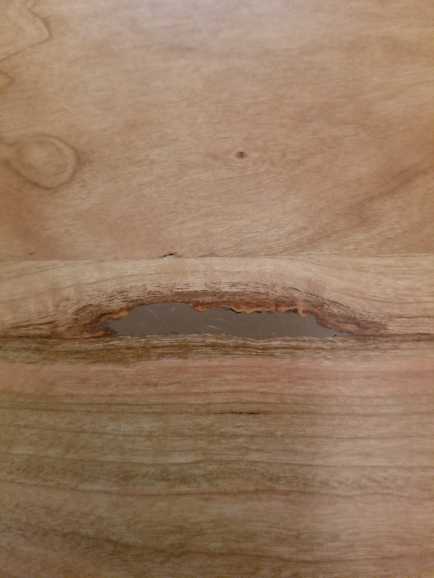 Wood How to remove wood filler from knots in cherry furniture Love