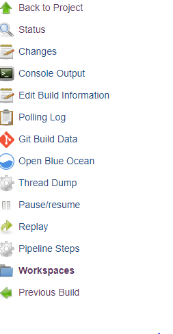 How to view Jenkins workspace on a Pipeline job? 2022