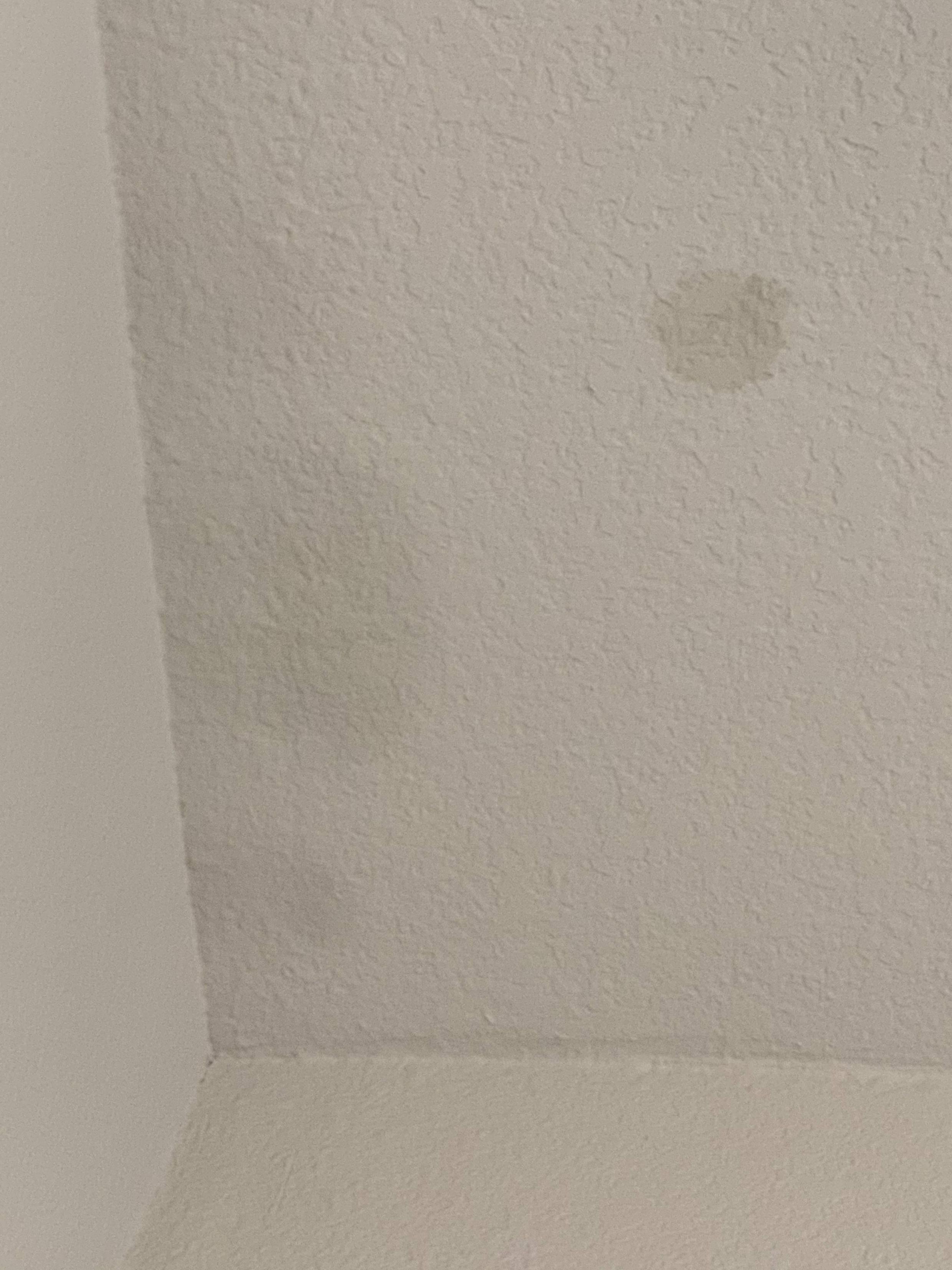 Is this mold on my room's ceiling? Is it dangerous? Home Improvement