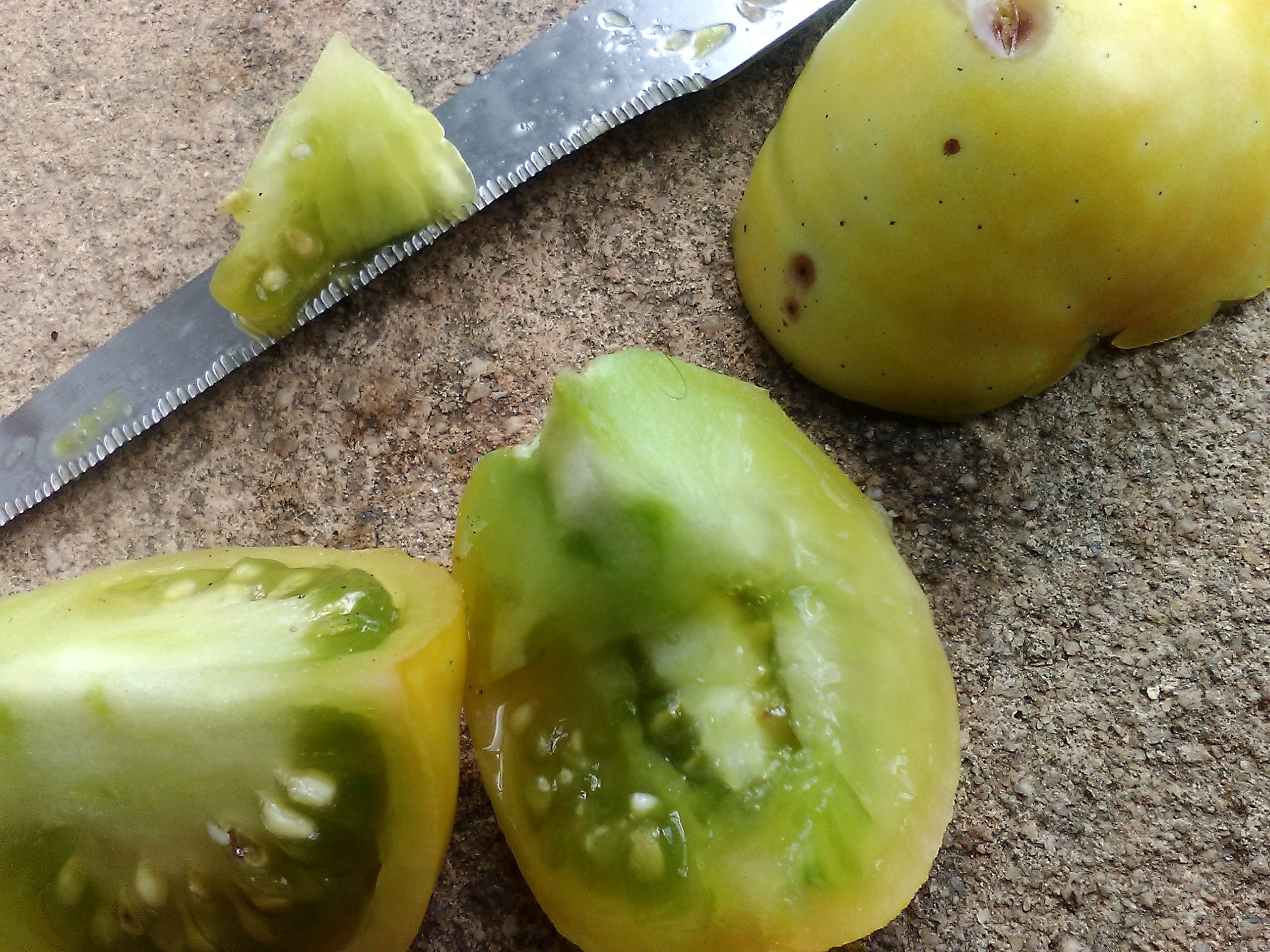 diagnosis Why do I have brown "jelly" and rotten smell inside my