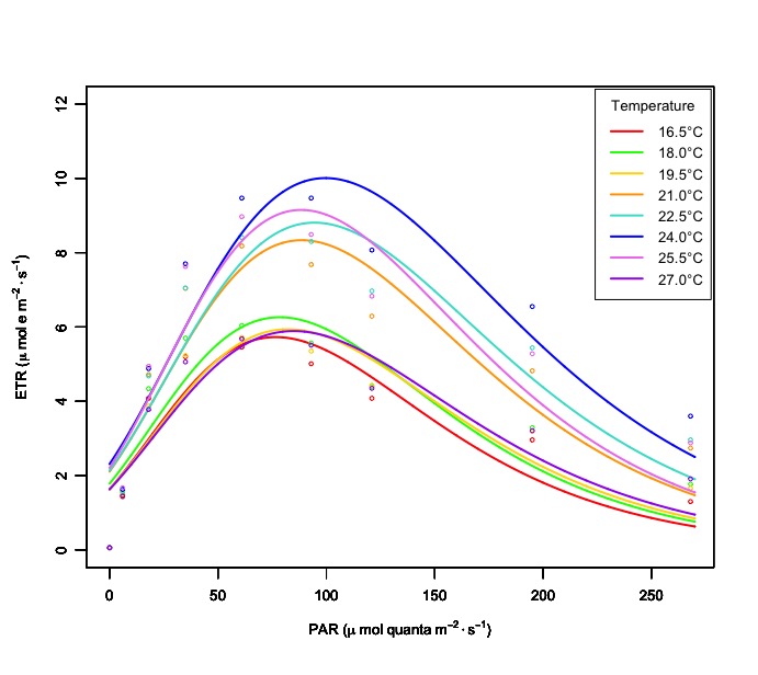 r Double exponential decay function fitting Cross
