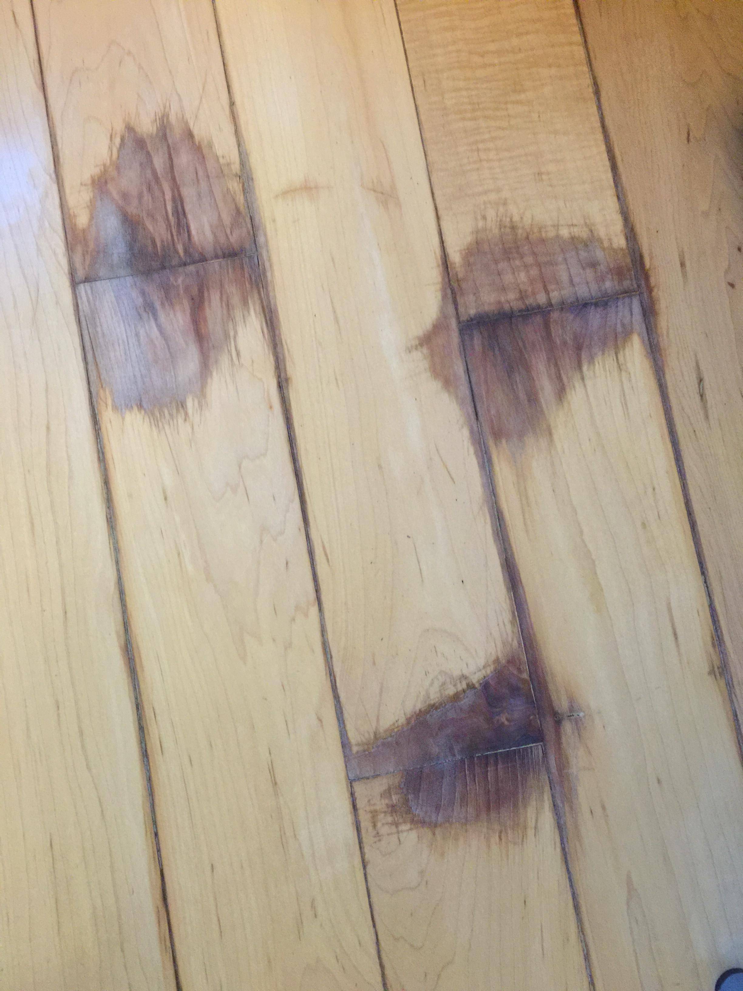 repair How can I cover up wood floor stain spill damage? Home